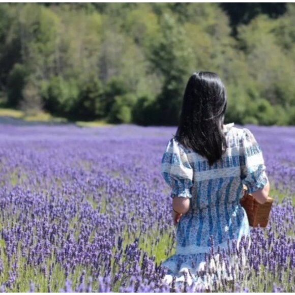 Stellah Size Small Floral Victorian Print Mixed Lace Trim Puff Sleeve Dress - Picture 11 of 12